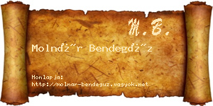 Molnár Bendegúz névjegykártya
